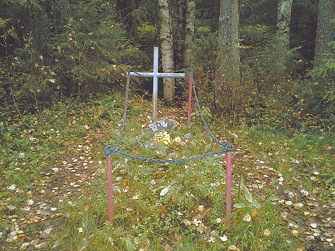 Изображение В Финляндии охотник заботится о могиле советского летчика