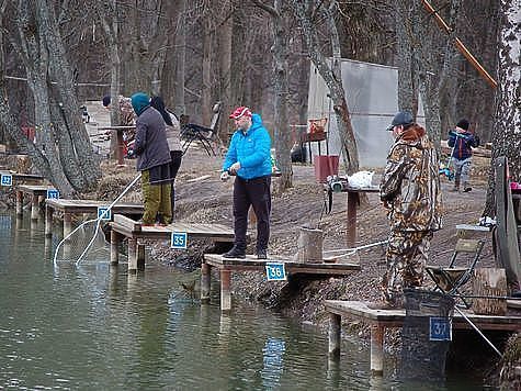 Изображение Эксперты прогнозируют осеннее снижение цены на лососевую рыбу