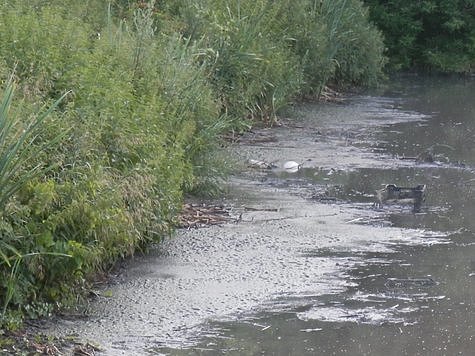 Изображение Очистные сооружения Богородска будут реконструировать