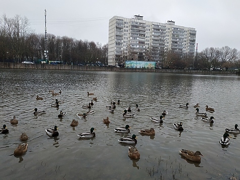 Изображение Аномальное тепло и дожди ожидает Москву и область