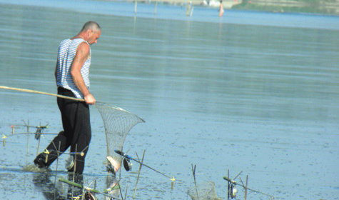Отчеты рыбаков о рыбалке на реке Москва