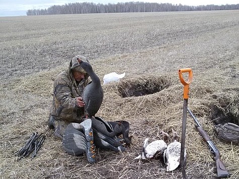 Изображение Костромская область закрыла весеннюю охоту