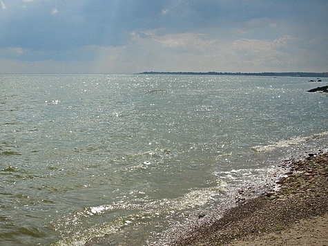 Изображение В Таганрогском заливе снижается соленость воды