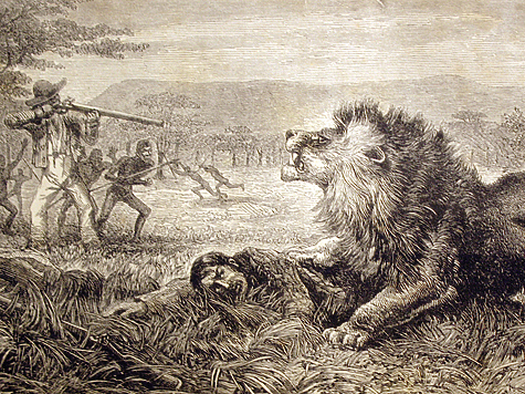 Изображение Охота на львов