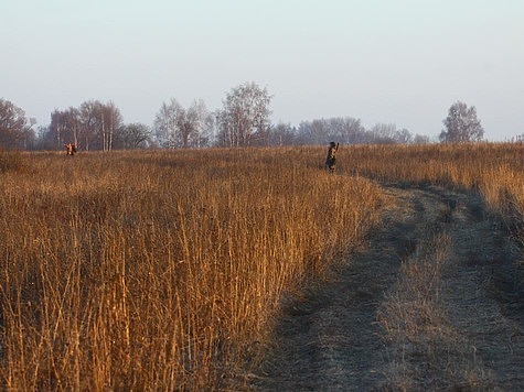 Изображение В Забайкальском крае браконьер охотился на дзерена