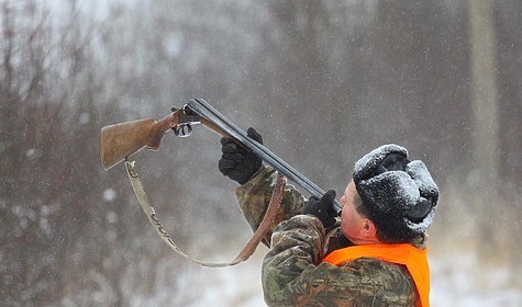 Изображение Утвержден лимит на добычу лося и рыси в Вологодской области