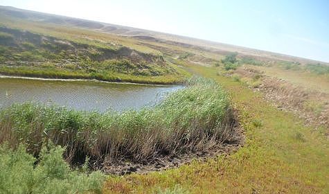 Изображение Муниципальные власти сдают земли водного фонда