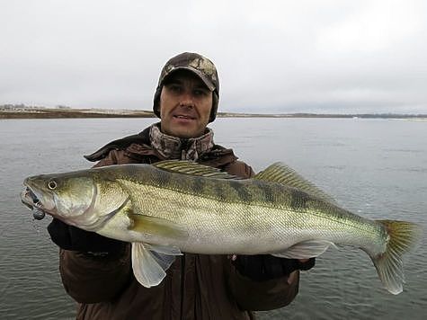 Изображение Актуальные рыболовные новости из Волгограда