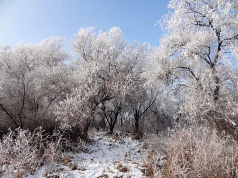 Изображение Зимняя охота по перу в Казахстане