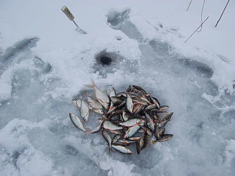Изображение В Калуге погода портит рыбалку