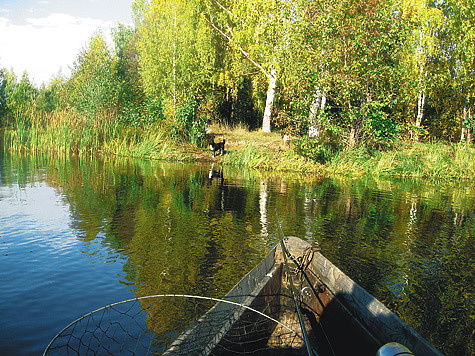 Изображение Рыбалка в золотую осень