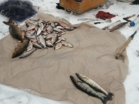Изображение Результаты работы Волго-Каспийской рыбоохраны