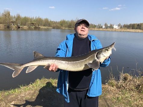 Изображение Калугу поделили, но съесть не успели