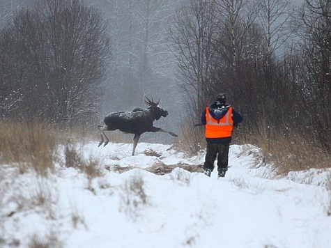 Изображение Кировская область продлила сроки охоты на лосей