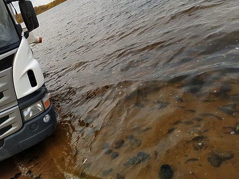 Изображение В Десну Брянской области выпустили молодь сазана