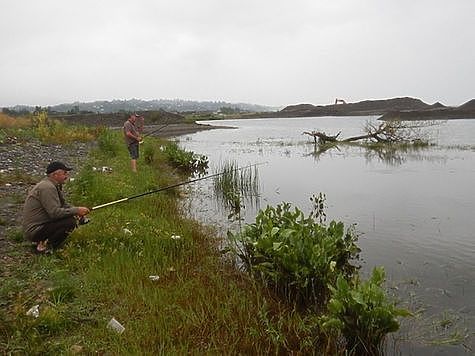 Изображение Береговую линию Цимлянского водохранилища очистили от бытового мусора 