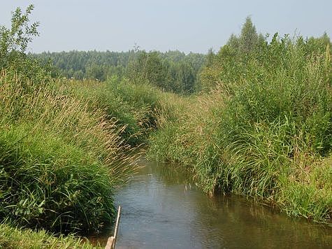 Изображение По заказу Минэкологии будет расчищен участок реки в Талдомском округе