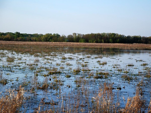 Изображение фото: Никонова Павла 