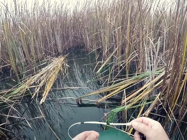 Изображение Фото: Александр Токарев. 