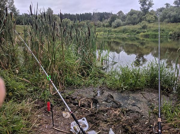 Изображение Место рыбалки. Фото: Алексей Трембицкий. 