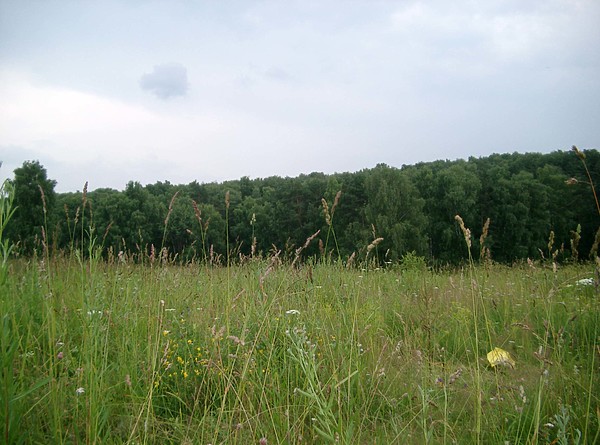 Изображение фото: Моткова Владимира 