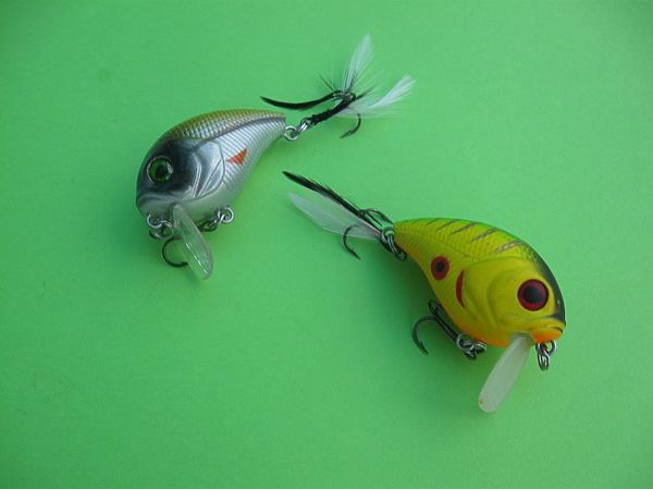 Изображение Фото: Александр Токарев.