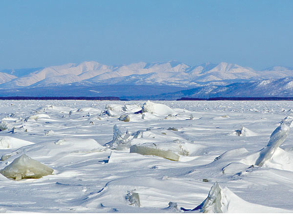Изображение Из-за сильного течения почти весь Амур замерзает зимой в виде ледяных торосов. Фото: Алексей Потехин.