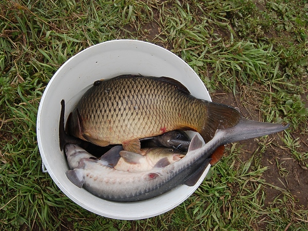 Изображение Фото: Андрей Яншевский.
