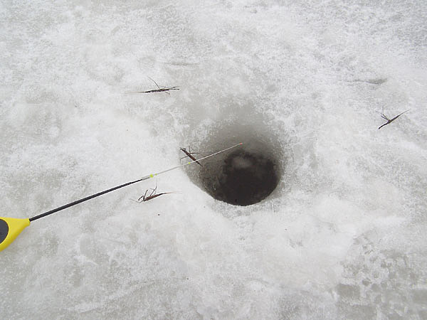 Изображение Фото: Линника Николая.