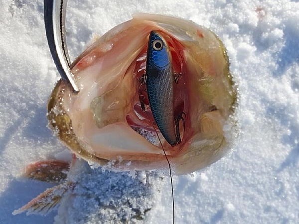 Изображение Фото: Коломийца Алексея. 