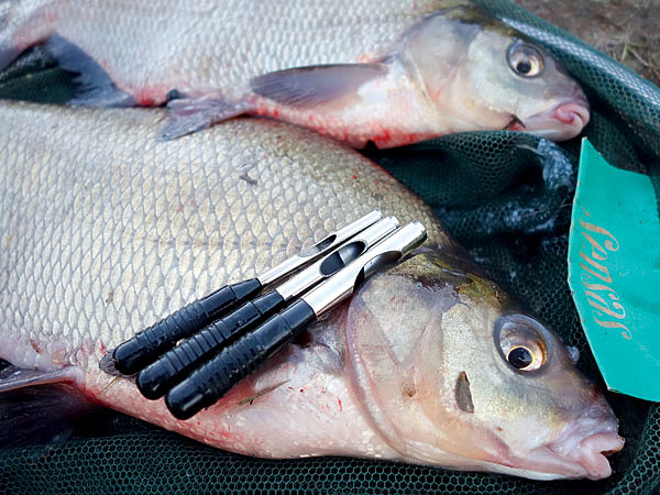 Изображение Осенний лещ —  основной объект ловли на хлебный мякиш. Фото: Линника Николая. 