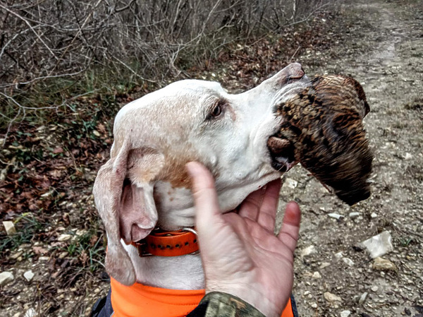 Изображение Фото: Сергея Матвеева 