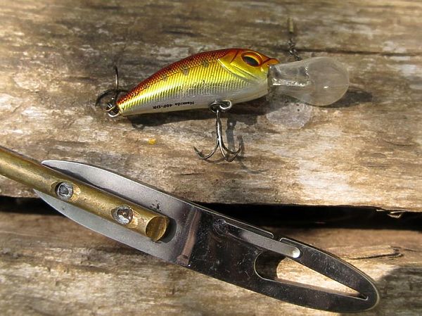 Изображение Фото: Алексей Коломиец. 