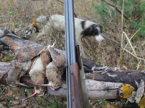 Изображение 10 октября - 14 подъемов - 3 добыто. Фото: Сергея Фокина 