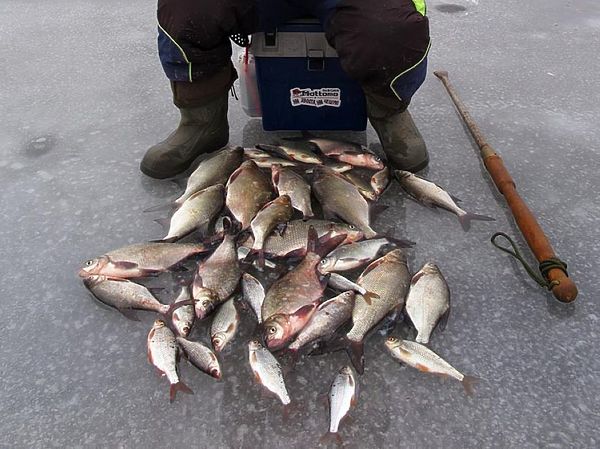 Изображение Фото: Алексей Коломиец. 