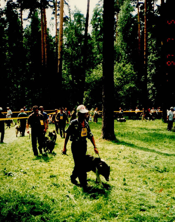 Изображение На Всероссийской 1997г.