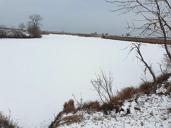 Изображение Фото: Коломийца Алексея. 