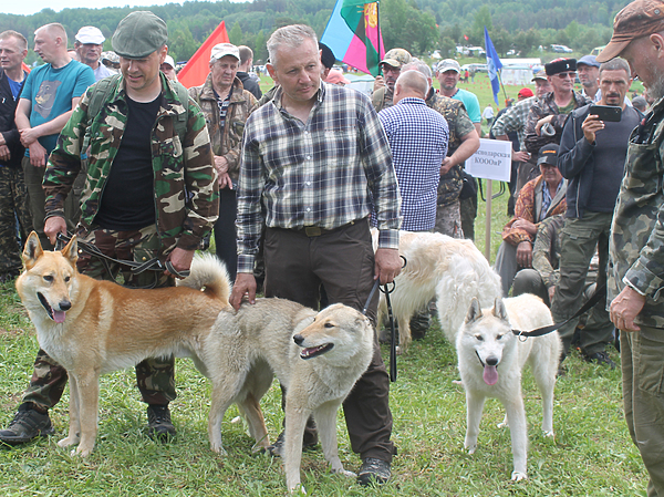 Изображение фото: Сергея Фокина