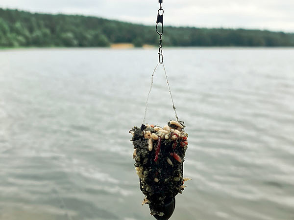 Изображение Фото: Мурашко Алексея.