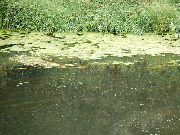 Изображение Фото: Яншевского Андрея. 