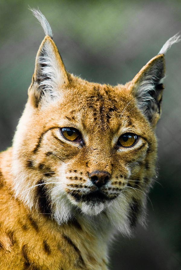 Изображение фото: Fotolia.com