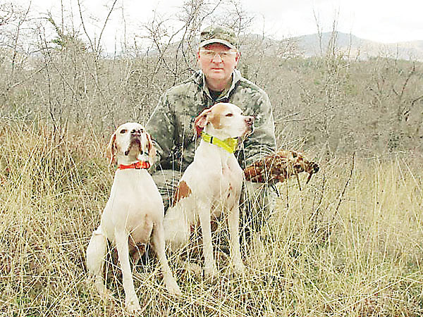 Изображение Пойнтер — наиболее популярная легавая для охоты на вальдшнепа в Кранодарском крае. Заядлые вальдшнепятники держат здесь не одну собаку. Красота работы и скульптурные стойки окупают с лихвой домашнее содержание этих собак. Всего в племенной книге Росохот-рыболовсоюза зарегистрировано 328 пойнтеров.  Фото автора. 