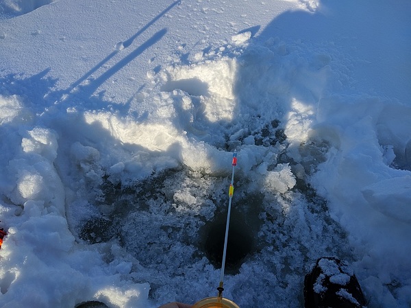 Изображение Размышляя над лункой. Фото: Трембицкого Алексея. 