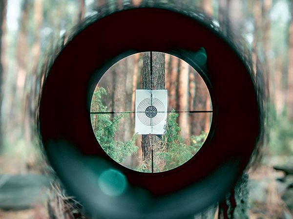 Изображение Подбор оптики — отдельная история, которая не может обойтись без стрельбы. Фото: shutterstock