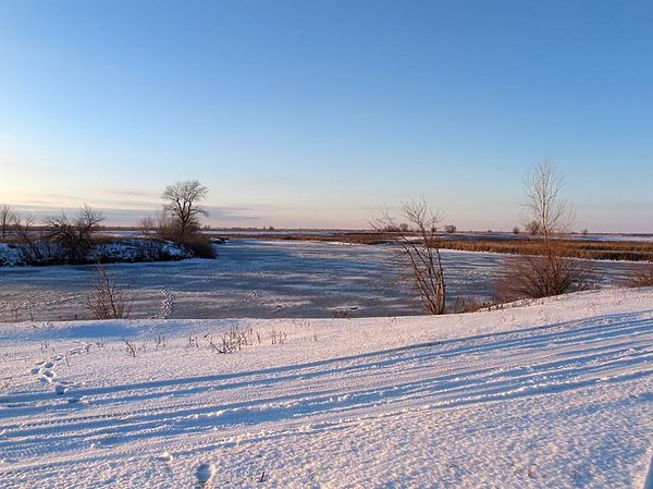 Изображение Фото: Алексей Коломиец.