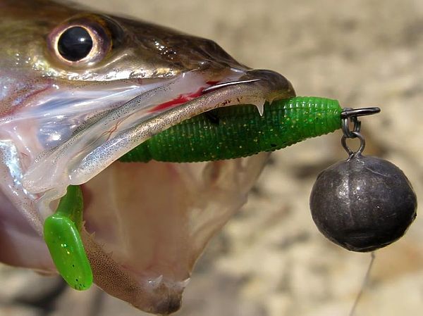 Изображение Фото: Алексей Коломиец. 