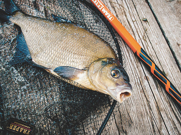 Изображение Фото: Мурашко Алексея. 