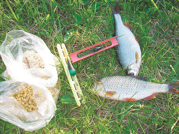 Изображение Фото: Маилкова Анатолия.