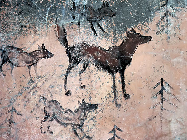 Изображение ФОТО SHUTTERSTOCK