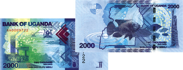 Изображение 14 и 15